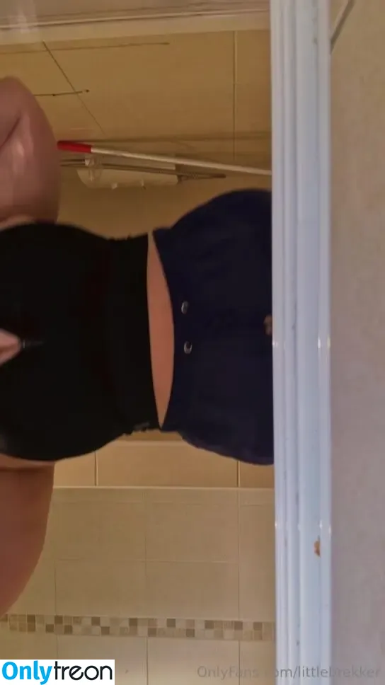 littlebrekker nude photo #0108 (littleburger)