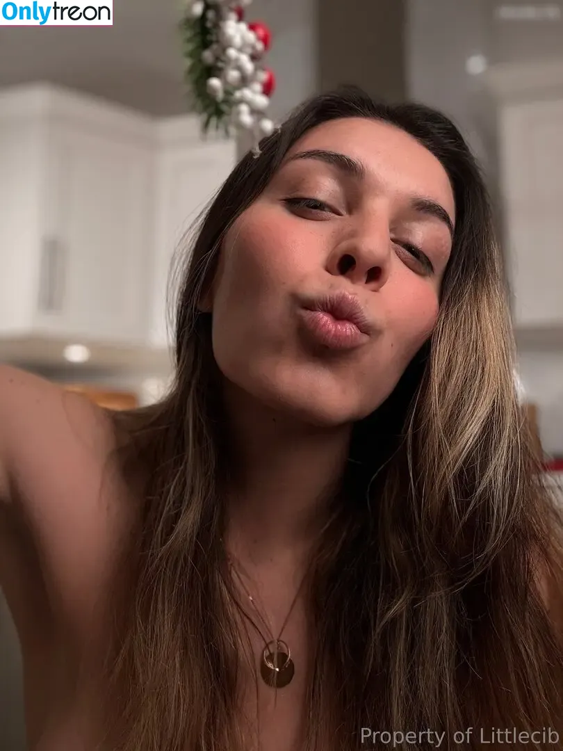 Littlecib nude photo #0358 (Littlecib)