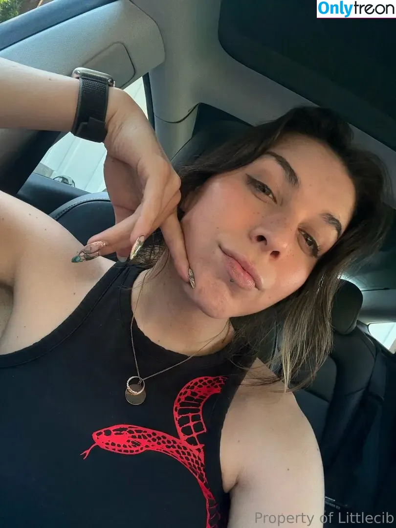 Littlecib nude photo #0432 (Littlecib)