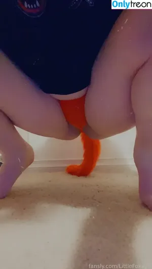 LittleFoxxy3 / _.little_fox_3._ nude photo #0019