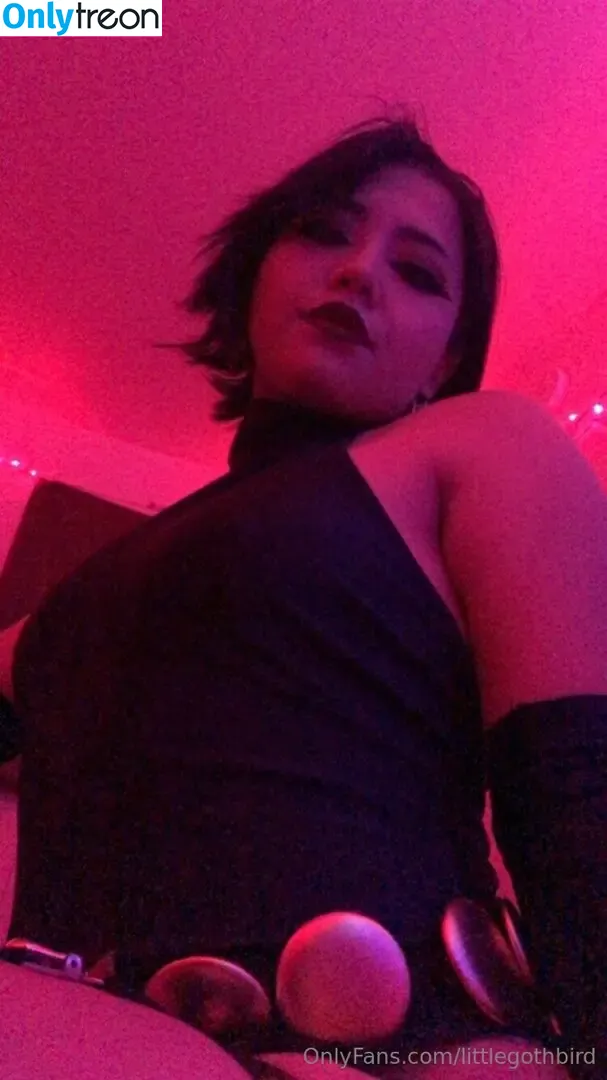 littlegothbird nude photo #0007 (aleksanderlee)