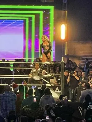 Liv Morgan / yaonlylivvonce nude photo #0195