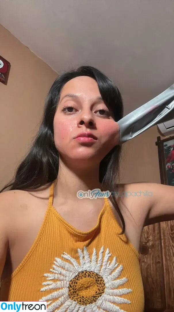m_apachita nude photo #0148 (mapachula__)