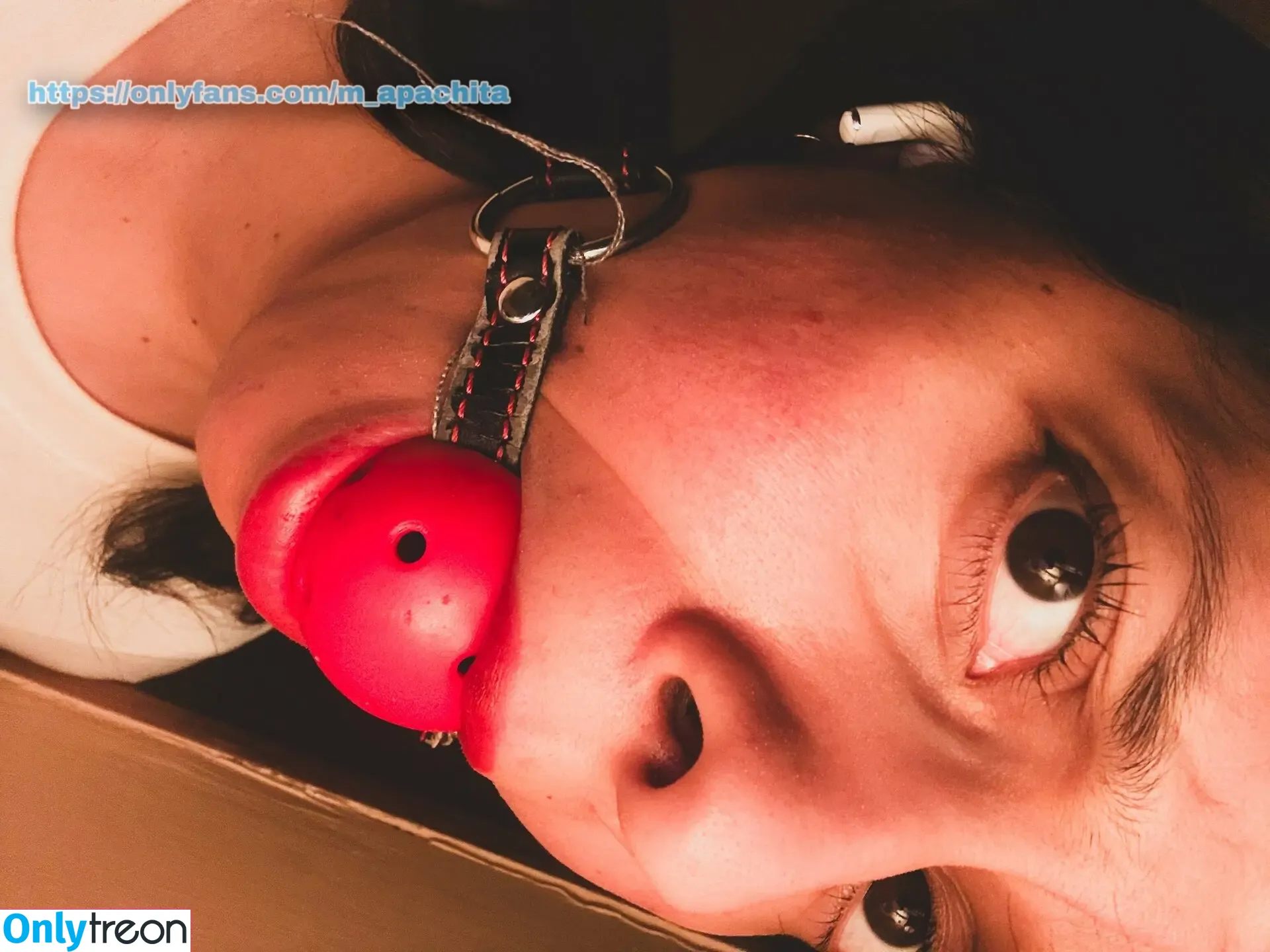 m_apachita nude photo #0174 (mapachula__)