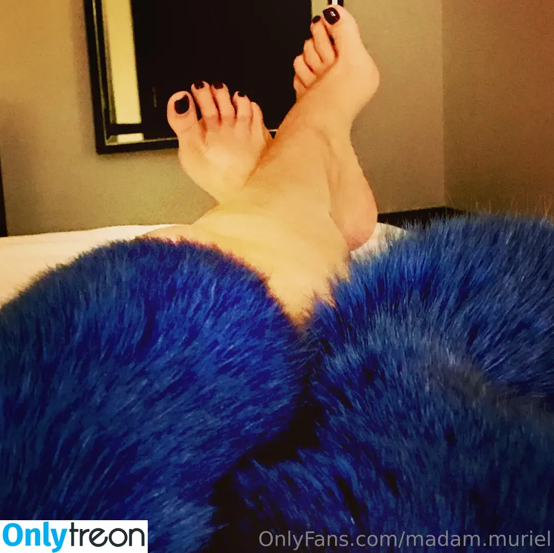 madam.muriel nude photo #0048 (madam_muriels_meltdowns)