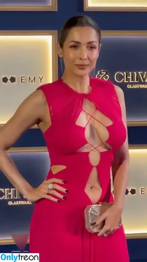 Malaika Arora / malaikaaroraofficial nude photo #0132