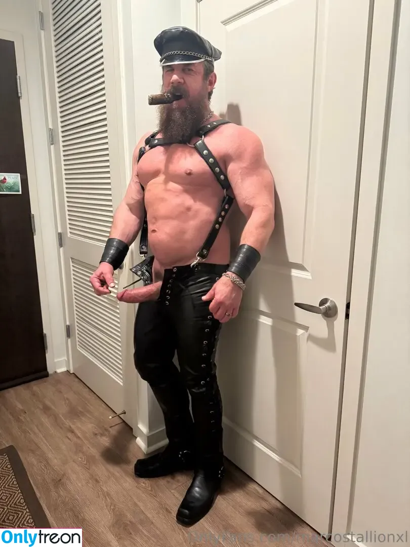 marcostallionxl nude photo #0003 (marcostallionxl)