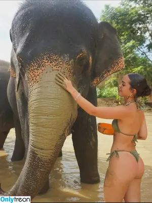 Mel Maia / Dezoitou / mel.maia / melissamelmaia nude photo #1011