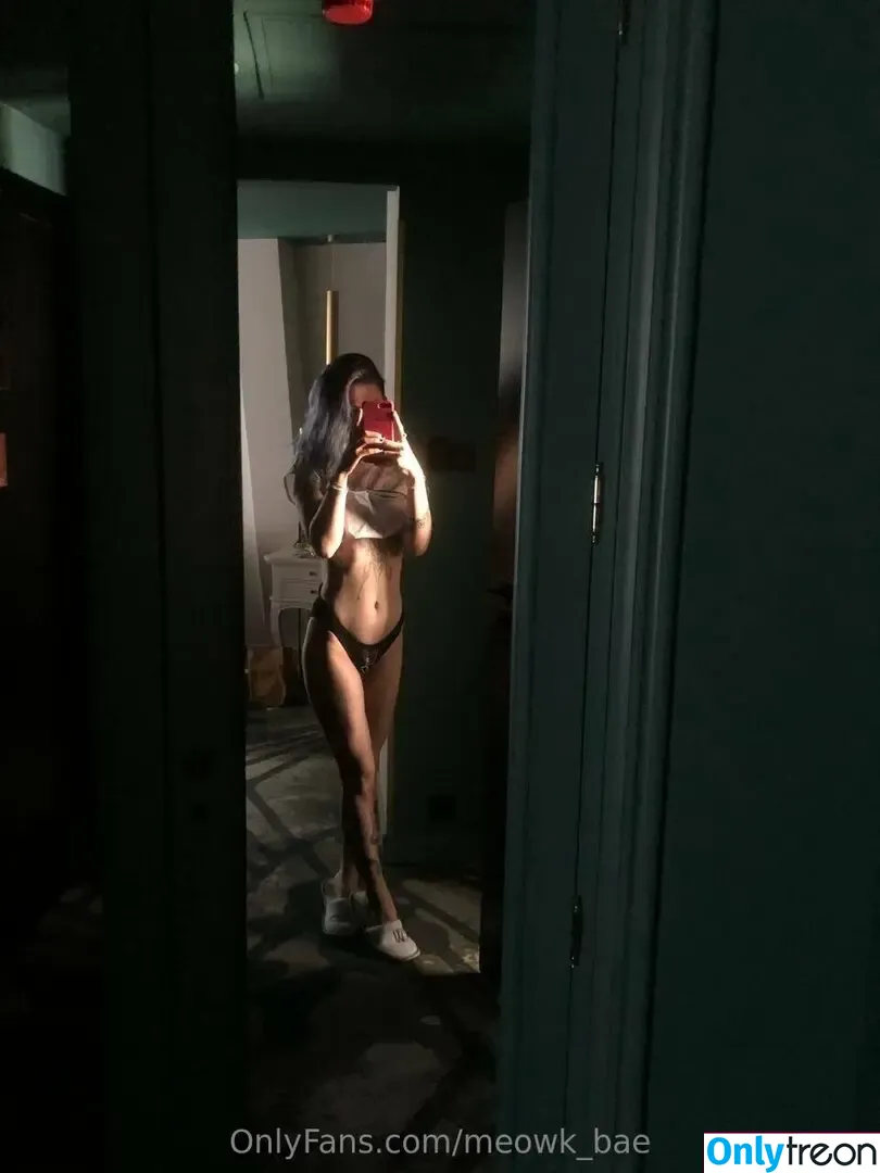 meowk_bae nude photo #0111 (meowk_bae)