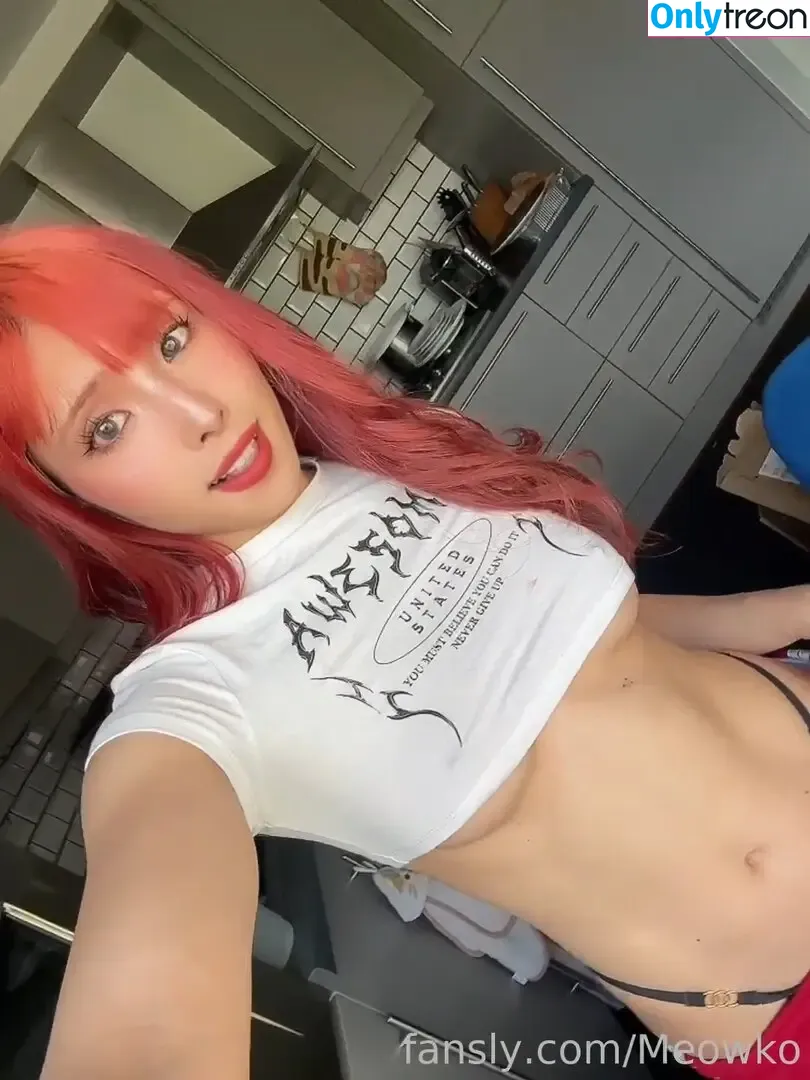 Meowko nude photo #3525 (meowkolol)