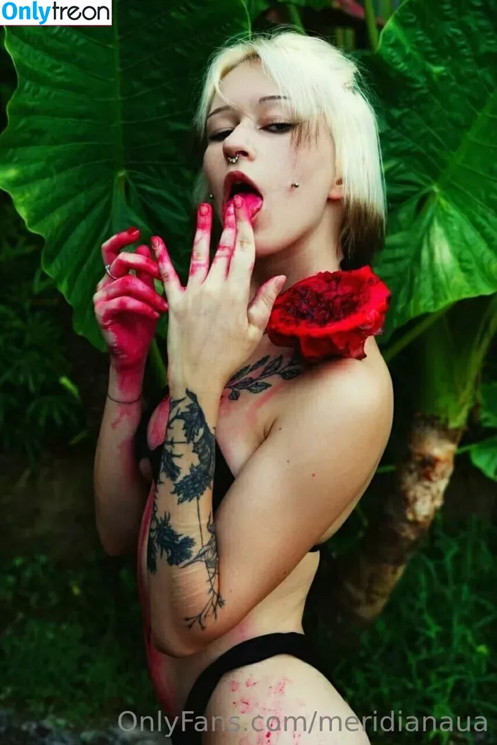 meridianaua nude photo #0226 (meridiana.ua)