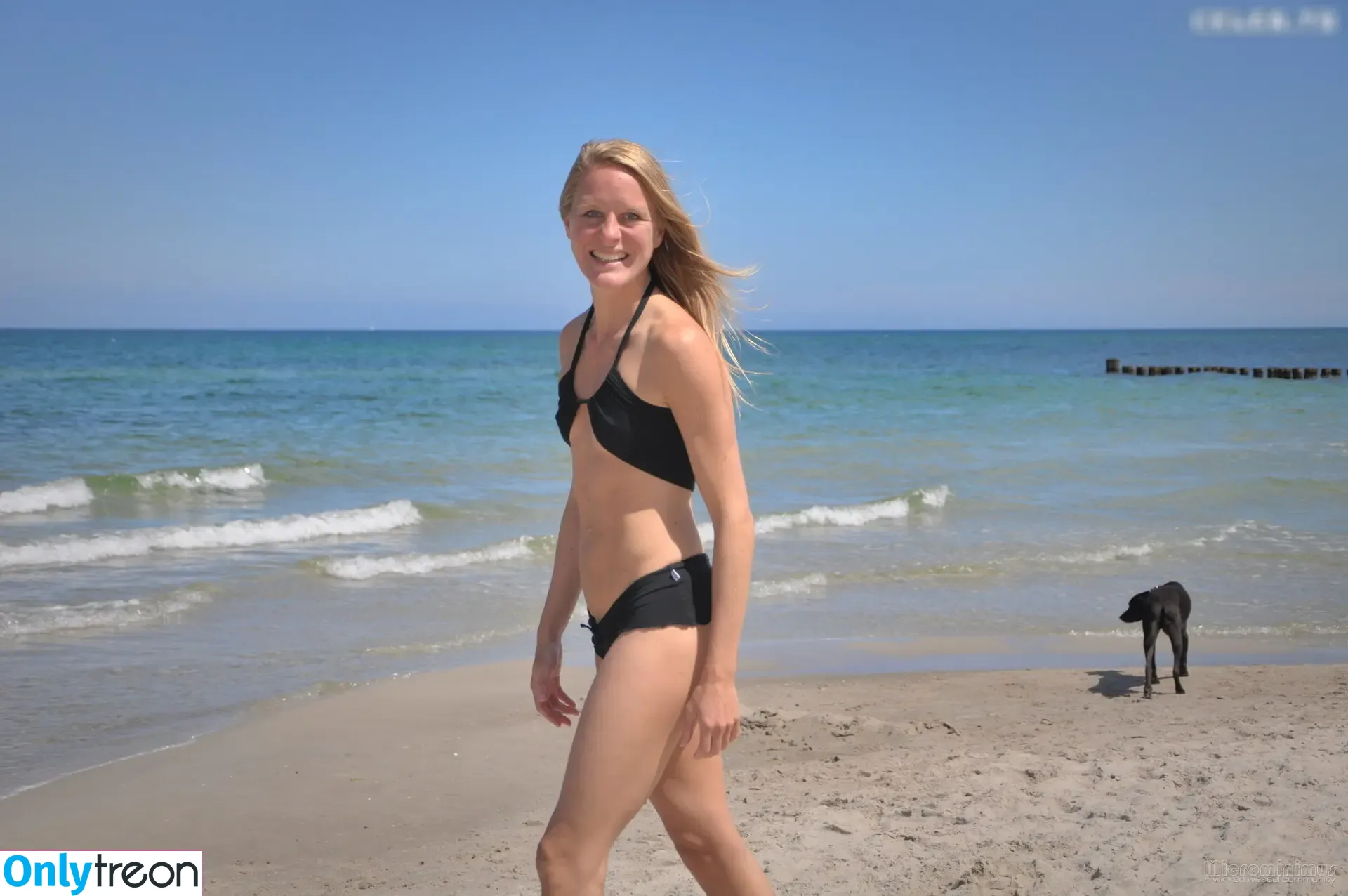 Microminimus & Wicked Weasel Models nude photo #1082 (Microminimus & Wicked Weasel Models)