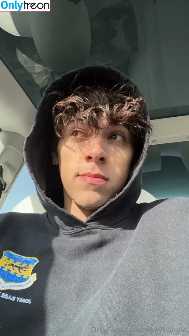 mikeybarone nude photo #0089 (mikeybarone)