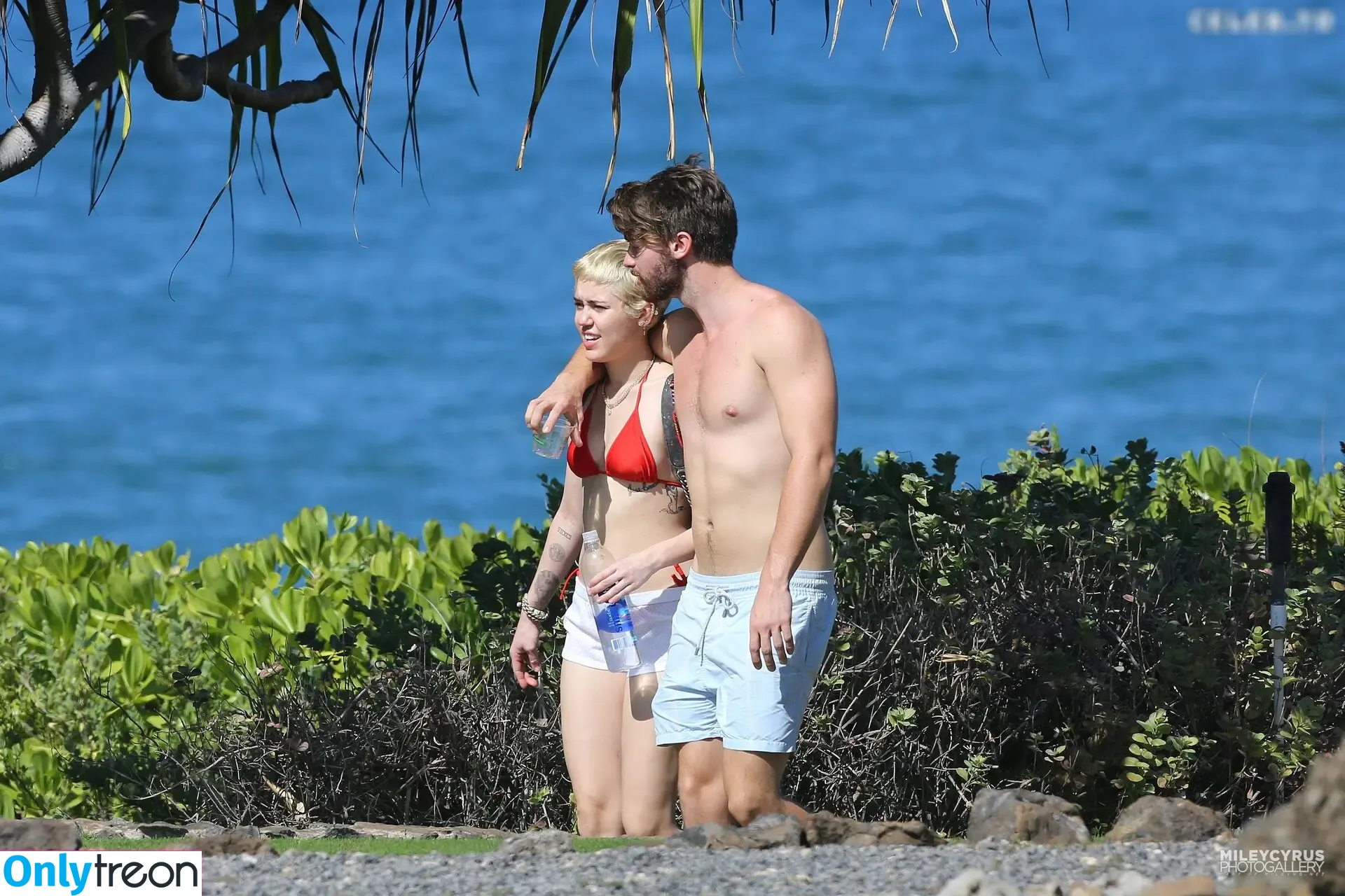 Miley Cyrus nude photo #4625 (MileyCyrus)