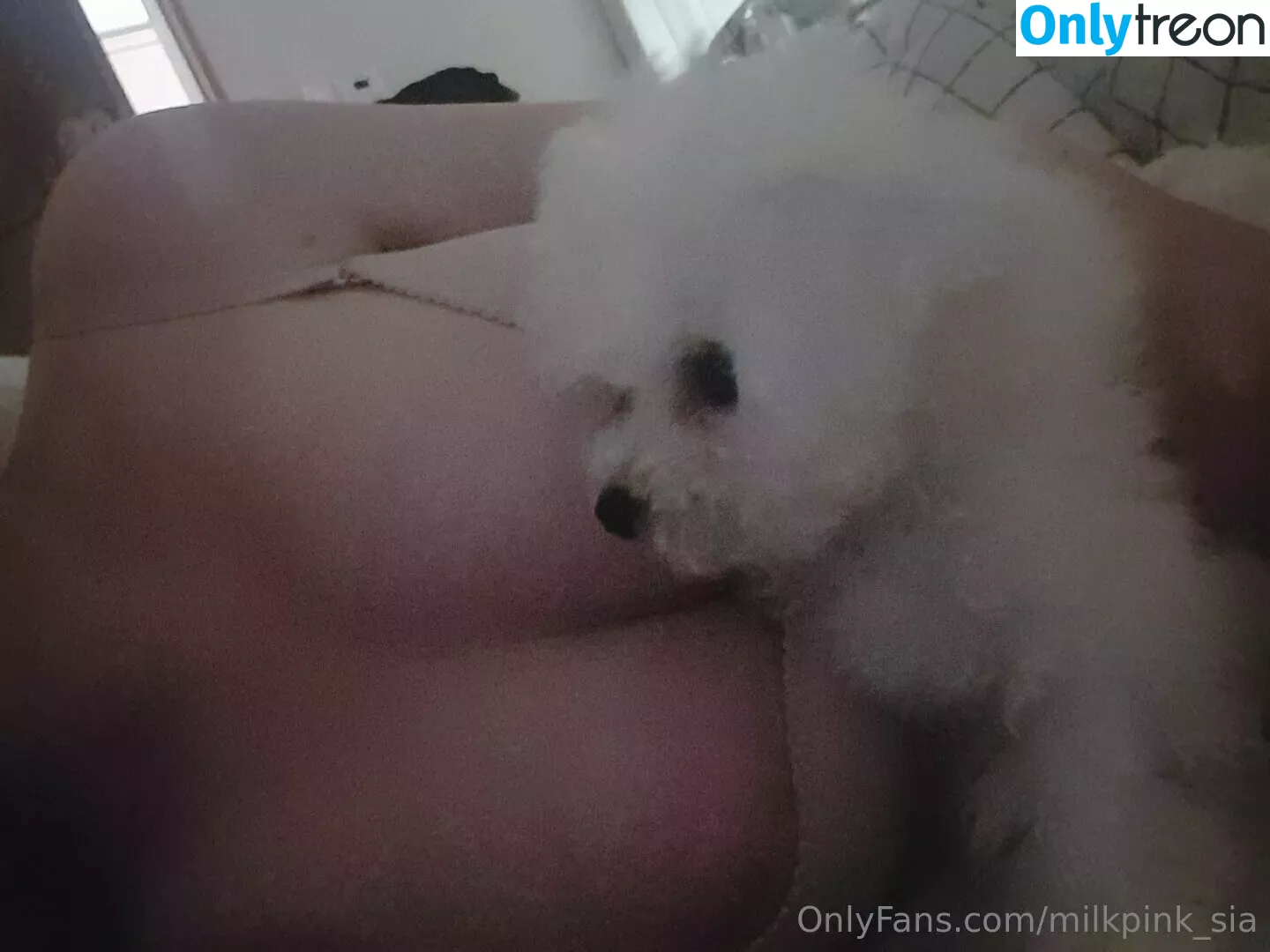 milkpink_sia nude photo #0028 (milkpink_sia)