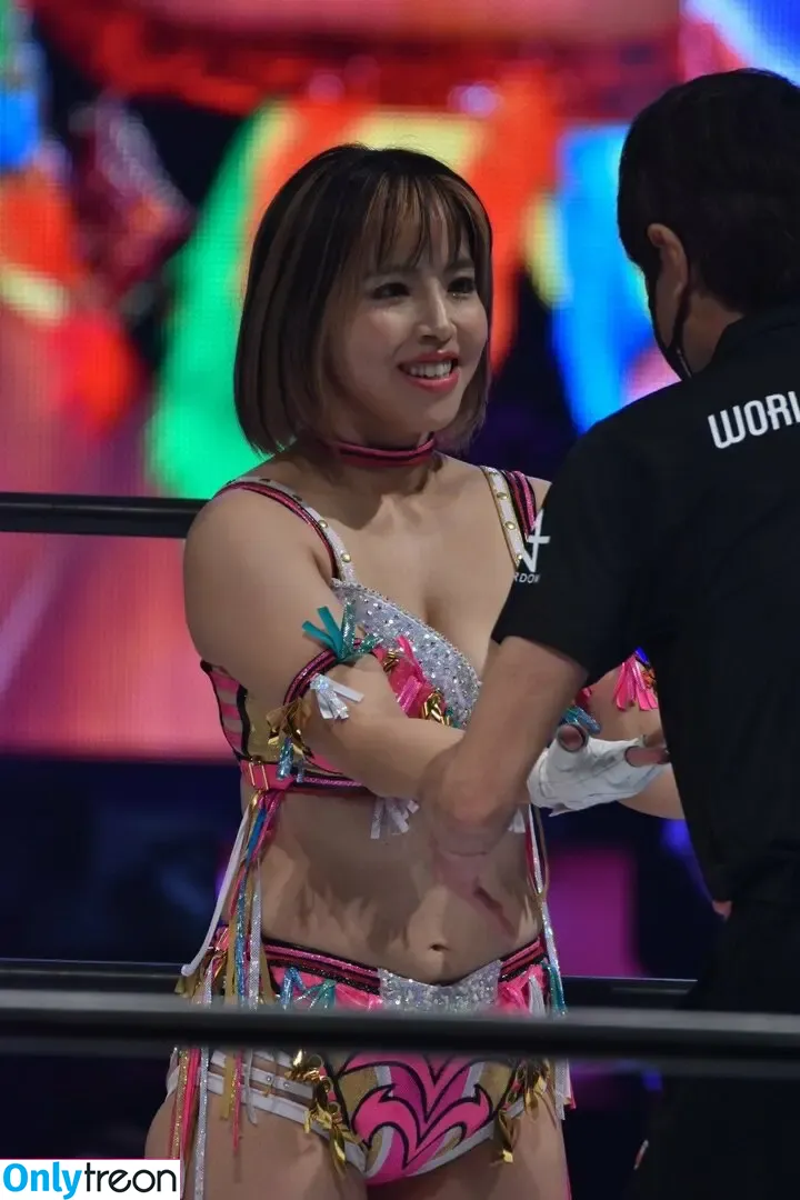 Mina Shirakawa nude photo #1312 (mina_shirakawa)