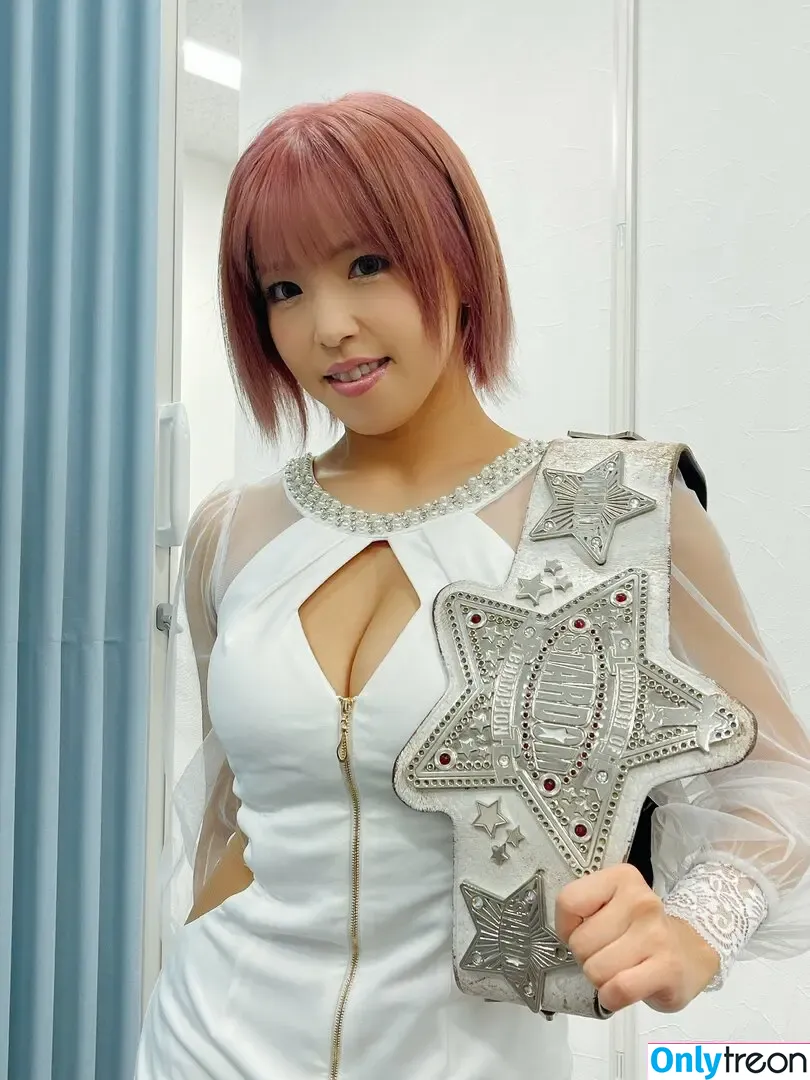 Mina Shirakawa nude photo #1887 (mina_shirakawa)