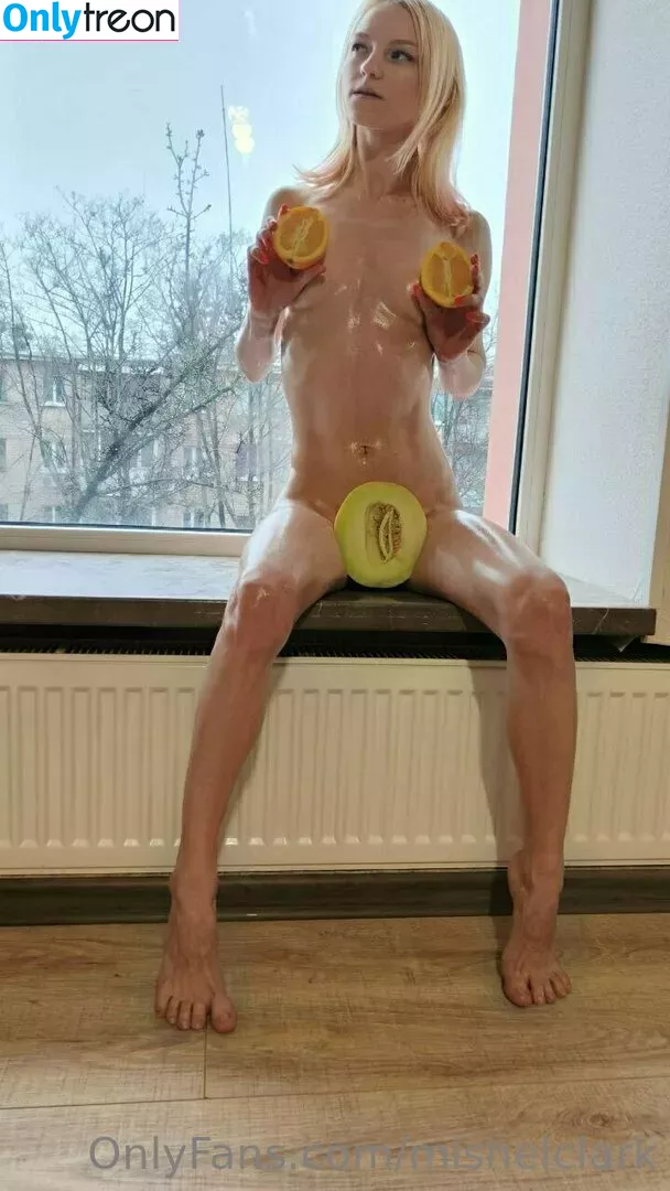 mishelclark nude photo #0066 (misheleclark)