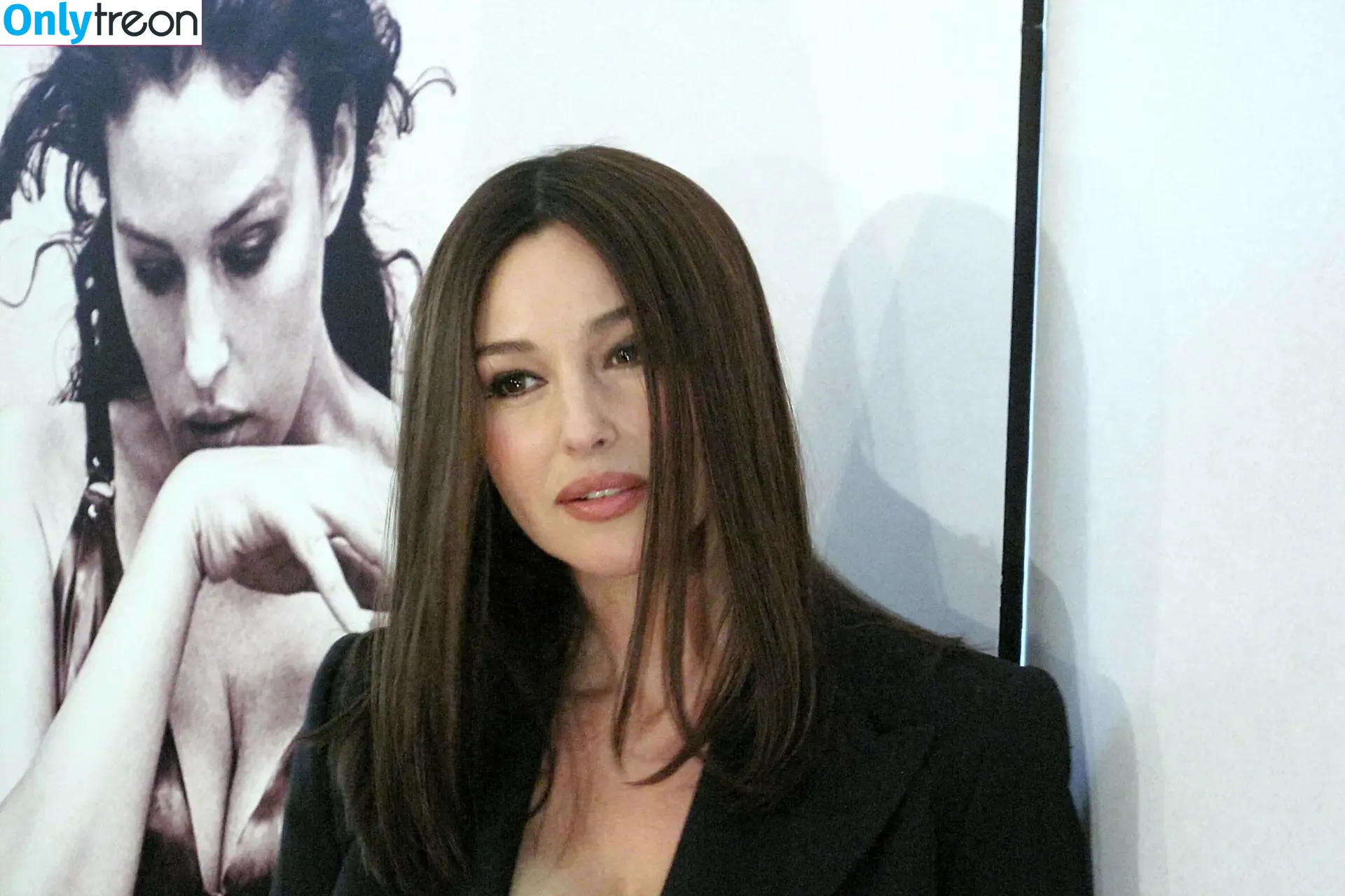 Monica Bellucci nude photo #0997 (aMonicaBellucci / bellucciginebra / monicabellucciofficiel)