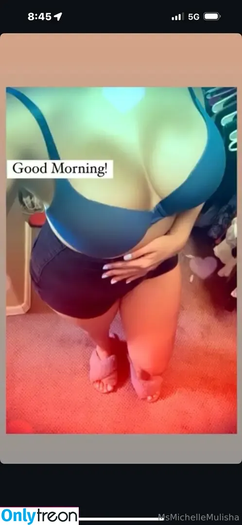 msmichellemamii nude photo #0026 (msmichellemamii)