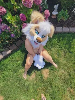 Murrsuit / Faunhouse / Softsuit / afterdark_bunny / lotuslafawn / shichimi.togarashi nude photo #0102