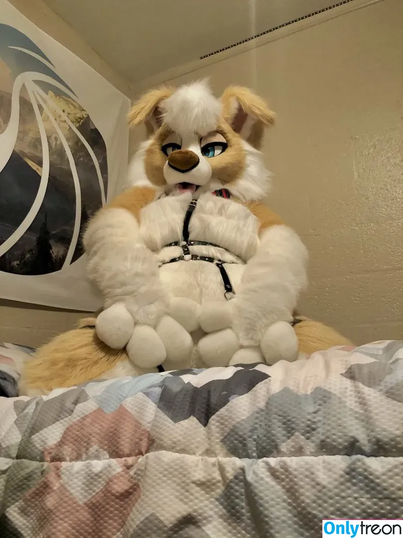 Murrsuit nude photo #0100 (Faunhouse / Softsuit / afterdark_bunny / lotuslafawn / shichimi.togarashi)