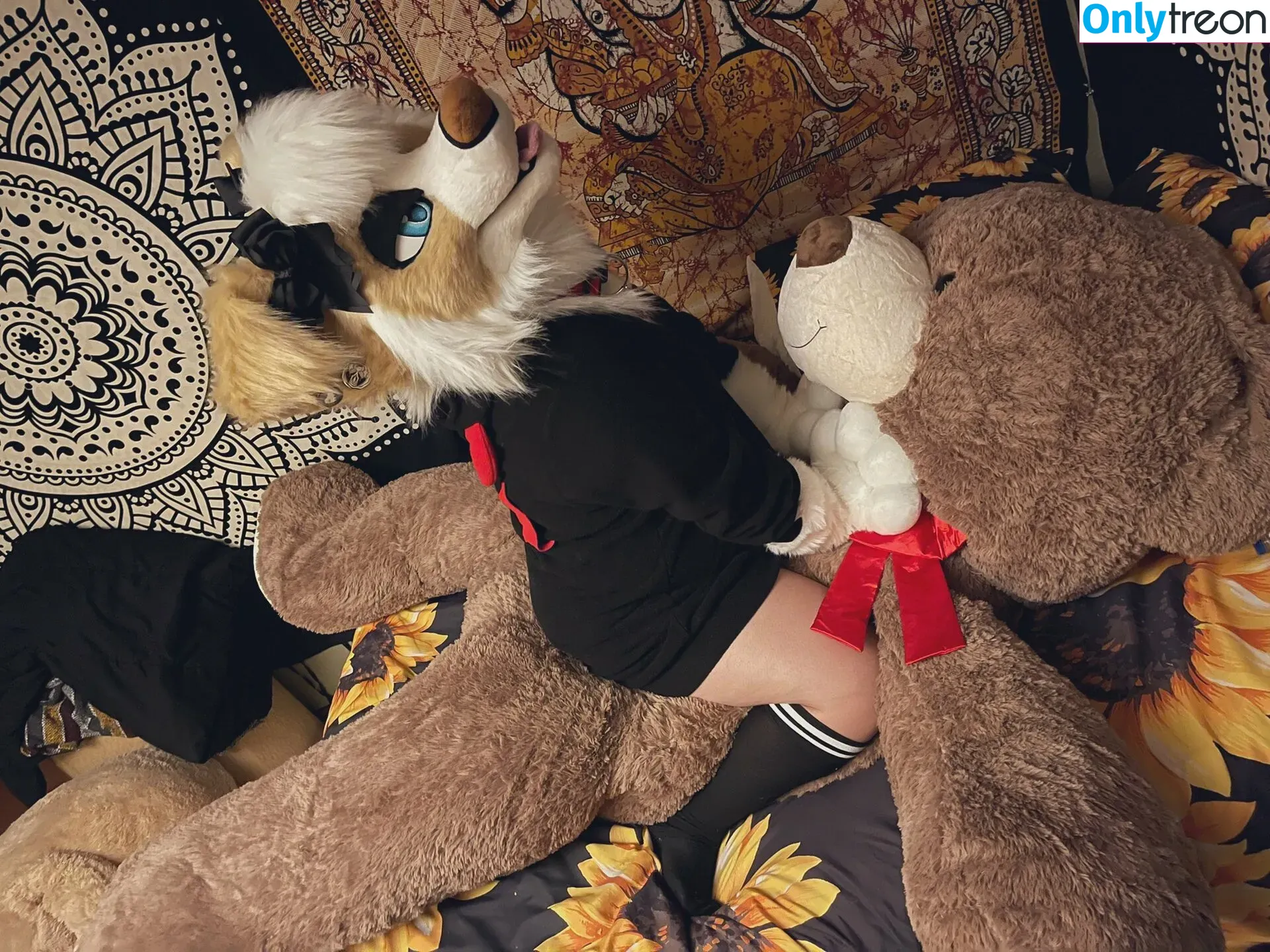 Murrsuit nude photo #0103 (Faunhouse / Softsuit / afterdark_bunny / lotuslafawn / shichimi.togarashi)