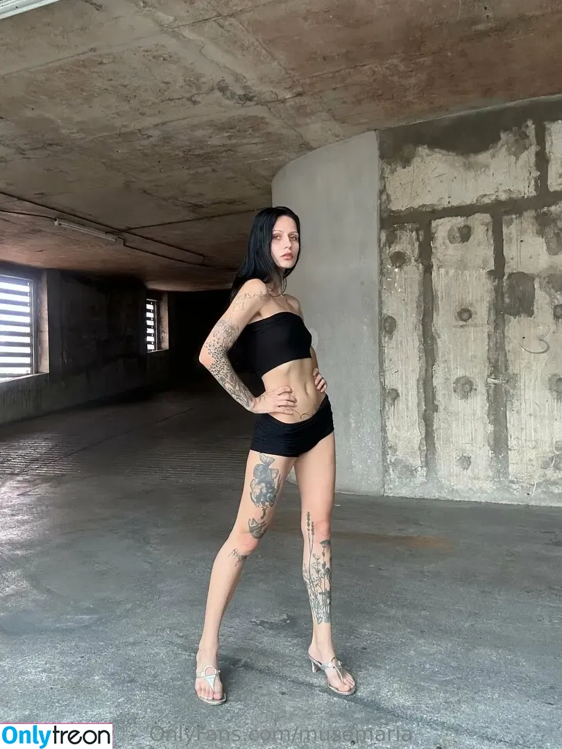 musemaria nude photo #0192 (siriusbluemary)