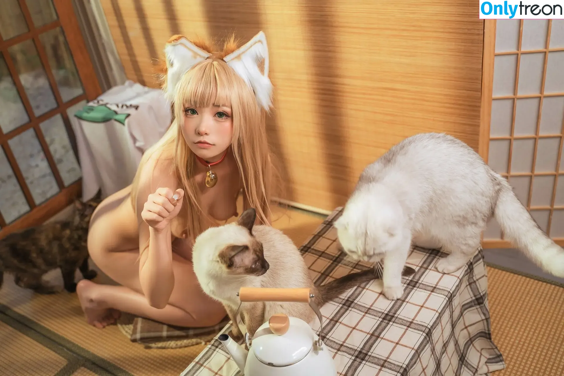 nekokoyoshi nude photo #1100 (kumicho_cat / 喵小吉 / 爆机少女 喵小吉)
