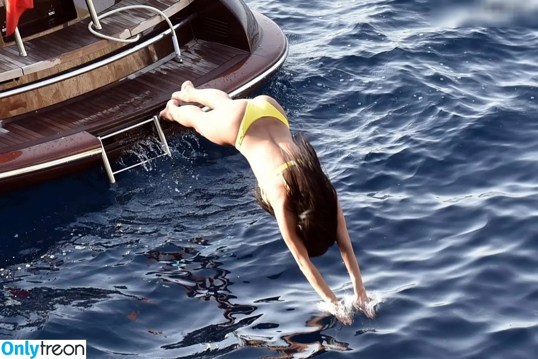 Nicole Scherzinger nude photo #2719 (NicoleScherzy / nicolescherzinger)