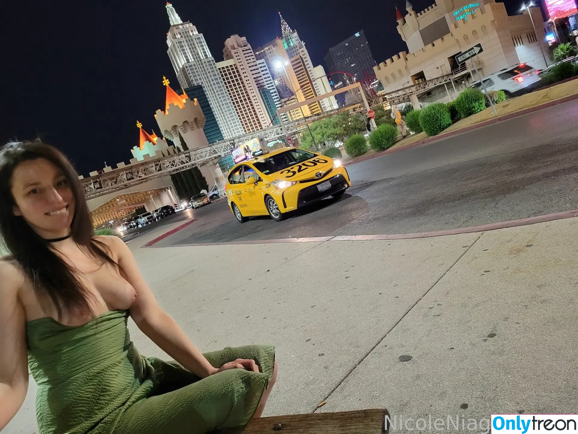 NicoleNiagara nude photo #0002 (nicolelynne_photography)