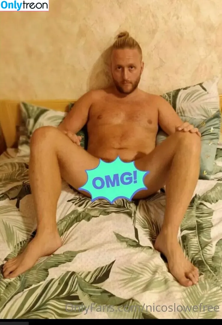 nicoslowefree nude photo #0040 (nicogoofs)