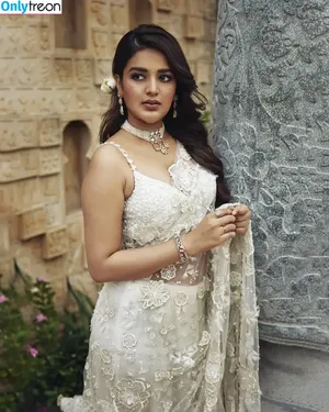 Nidhhi Agerwal / nidhhiagerwal nude photo #0051