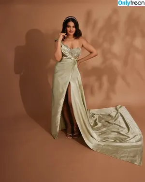 Nidhhi Agerwal / nidhhiagerwal nude photo #0060