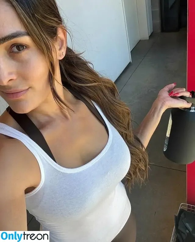 Nikki Bella nude photo #0142 (thenikkibella)