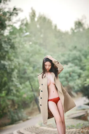 nnian_ / nianlin / nnian_011 nude photo #0483