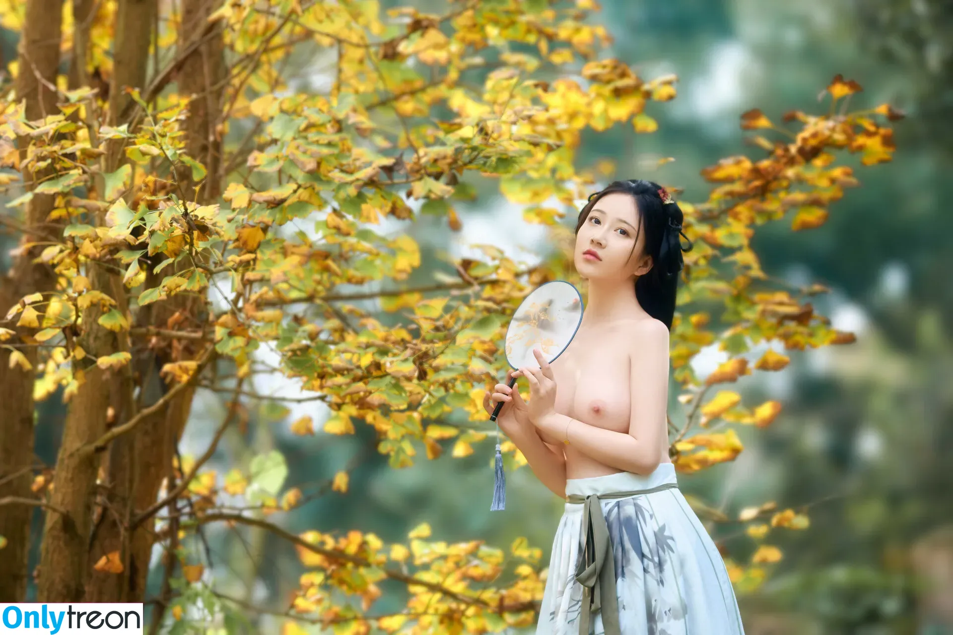 nnian_ nude photo #0532 (nianlin / nnian_011)