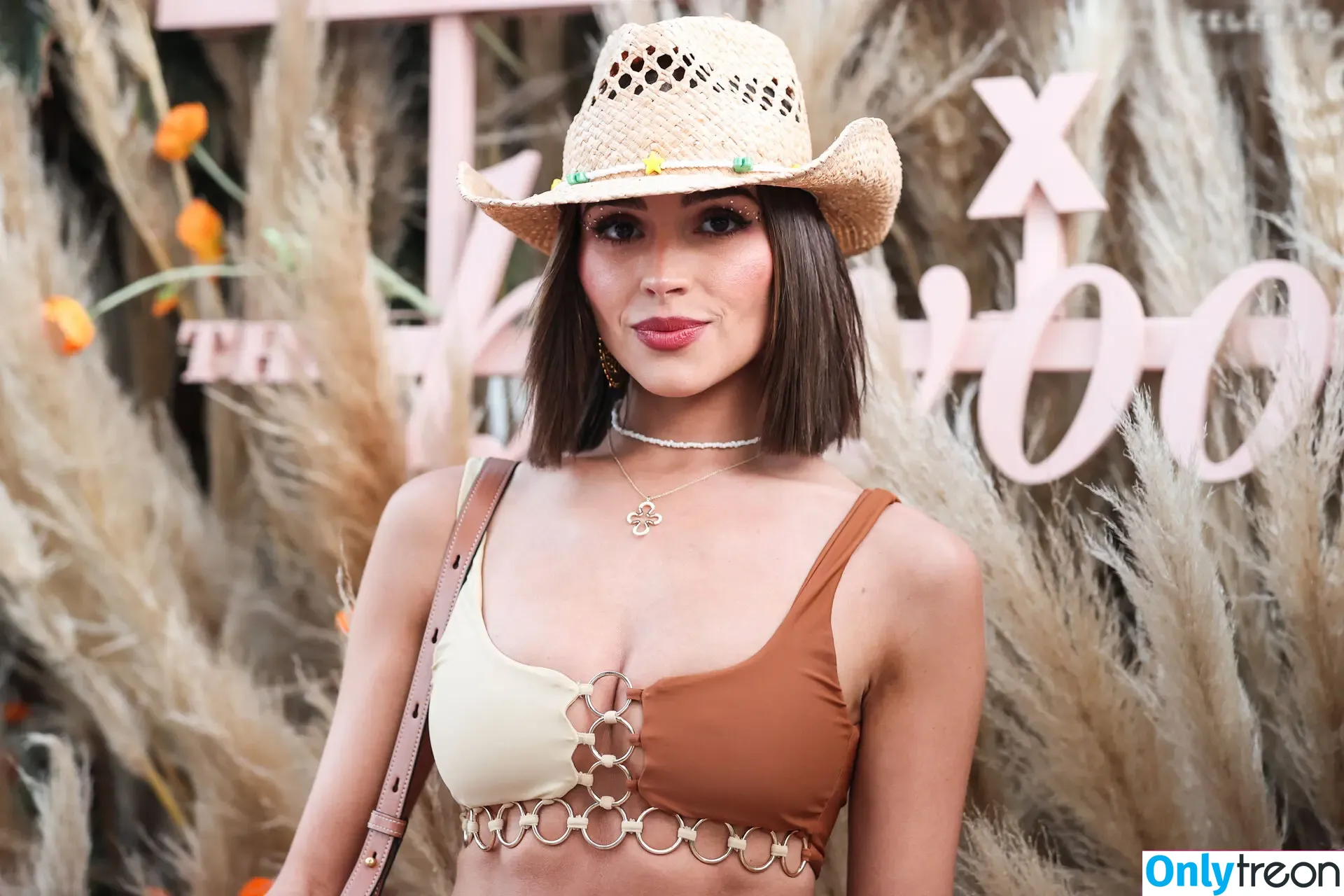 Olivia Culpo nude photo #1245 (oliviaculpo)