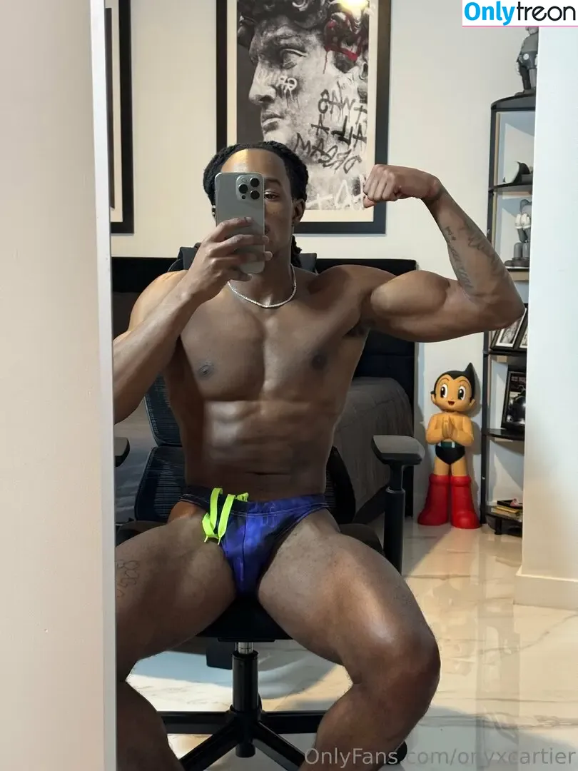 onyxcartier nude photo #0033 (onyx_cartier)