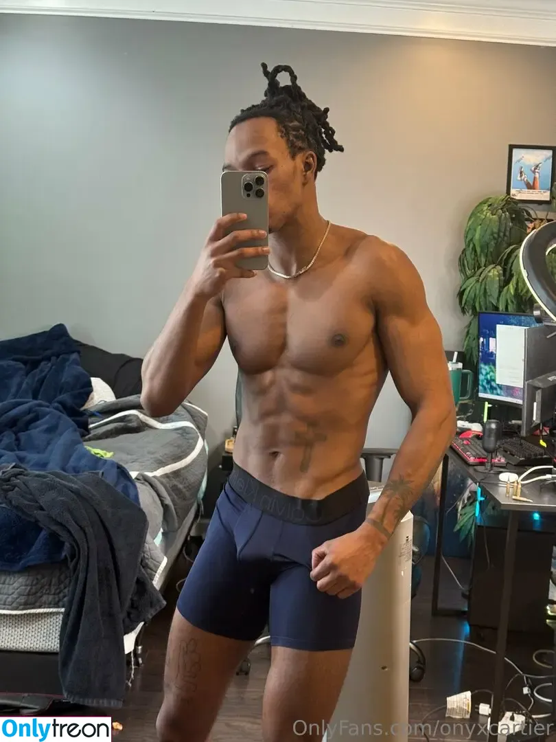 onyxcartier nude photo #0034 (onyx_cartier)
