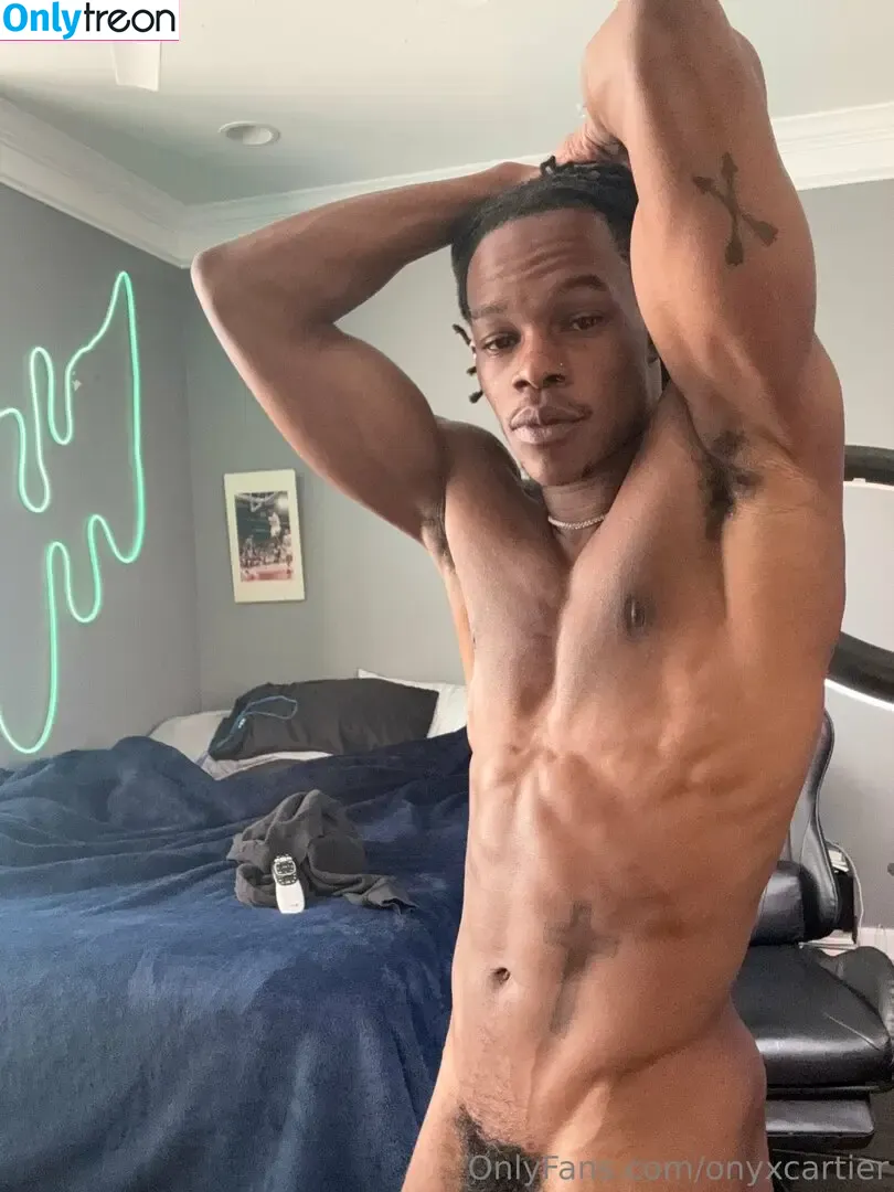 onyxcartier nude photo #0067 (onyx_cartier)