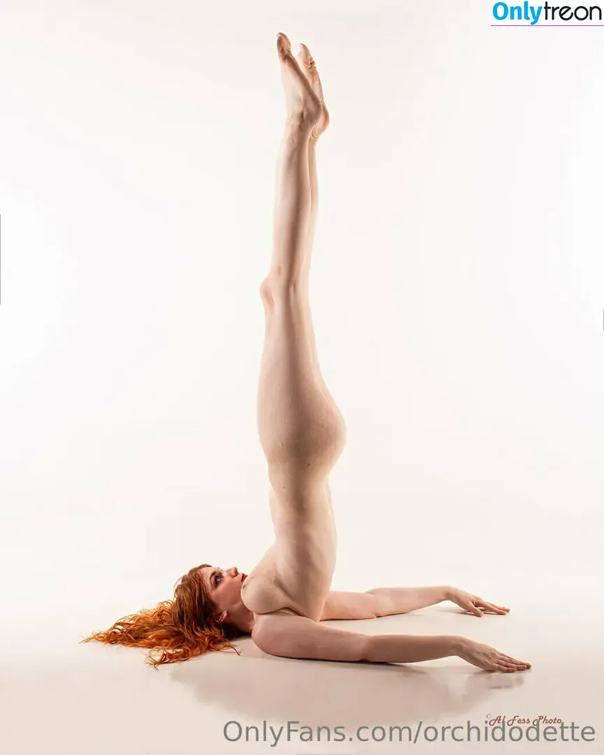 orchidodette nude photo #0076 (orchidodette)
