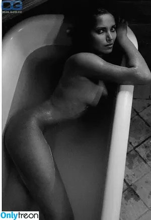 Padma Lakshmi / PadmaLakshmi nude photo #0470