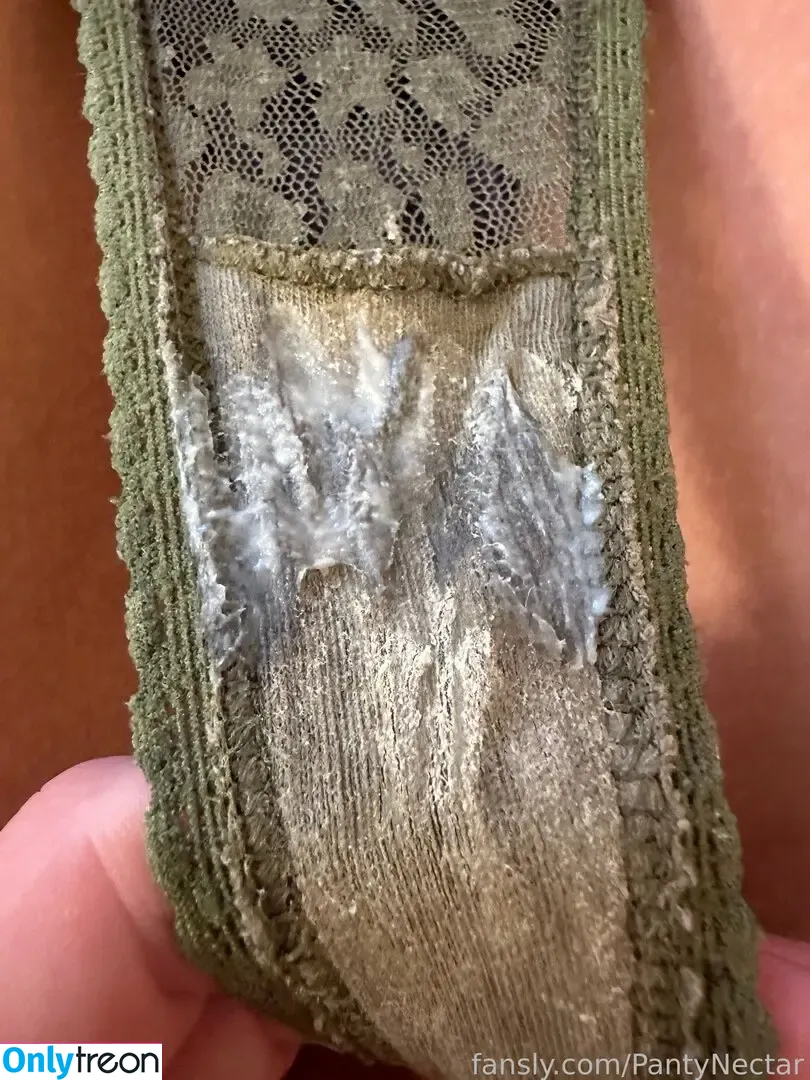 PantyNectar nude photo #0927 (pantynectardrawer)