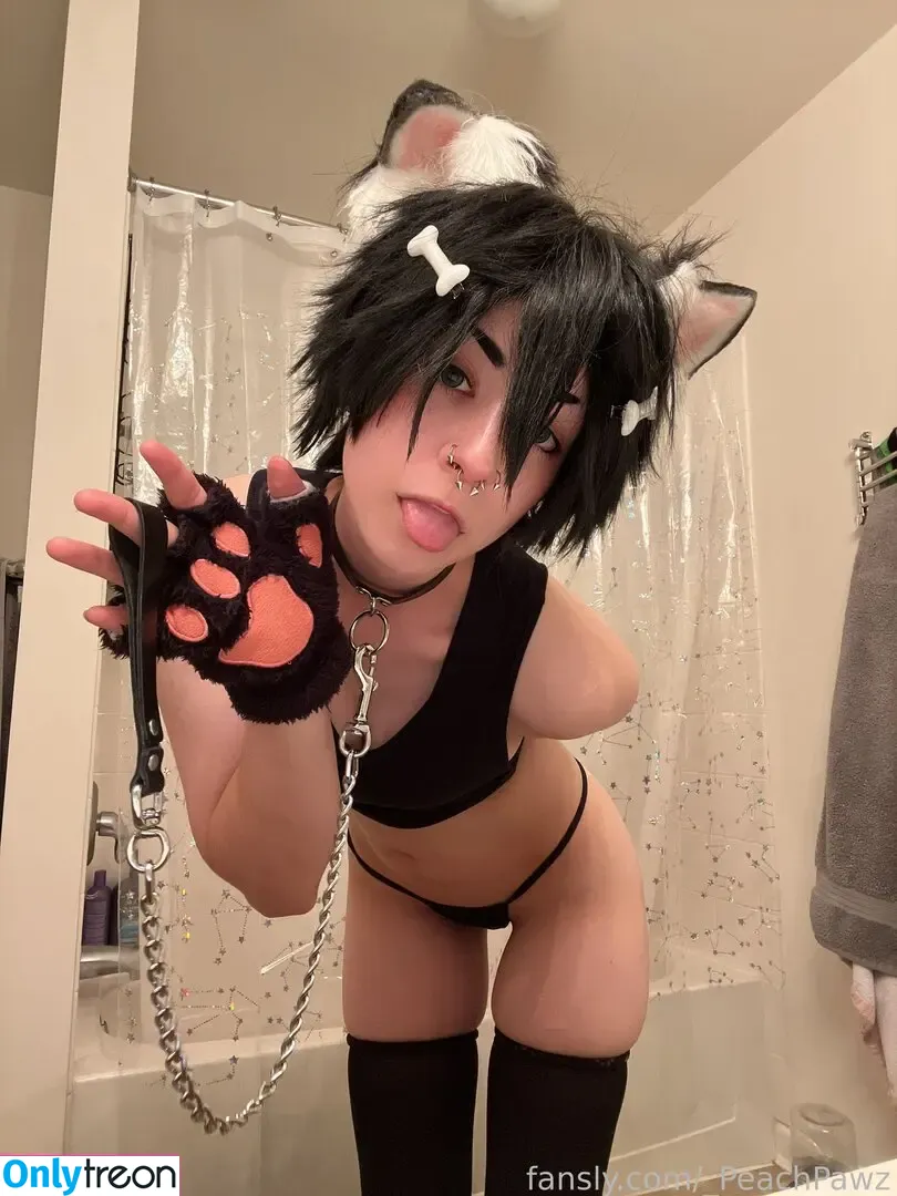 _PeachPawz nude photo #0098 (_milkypeaches)