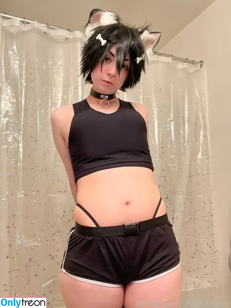 _PeachPawz nude photo #0099 (_milkypeaches)