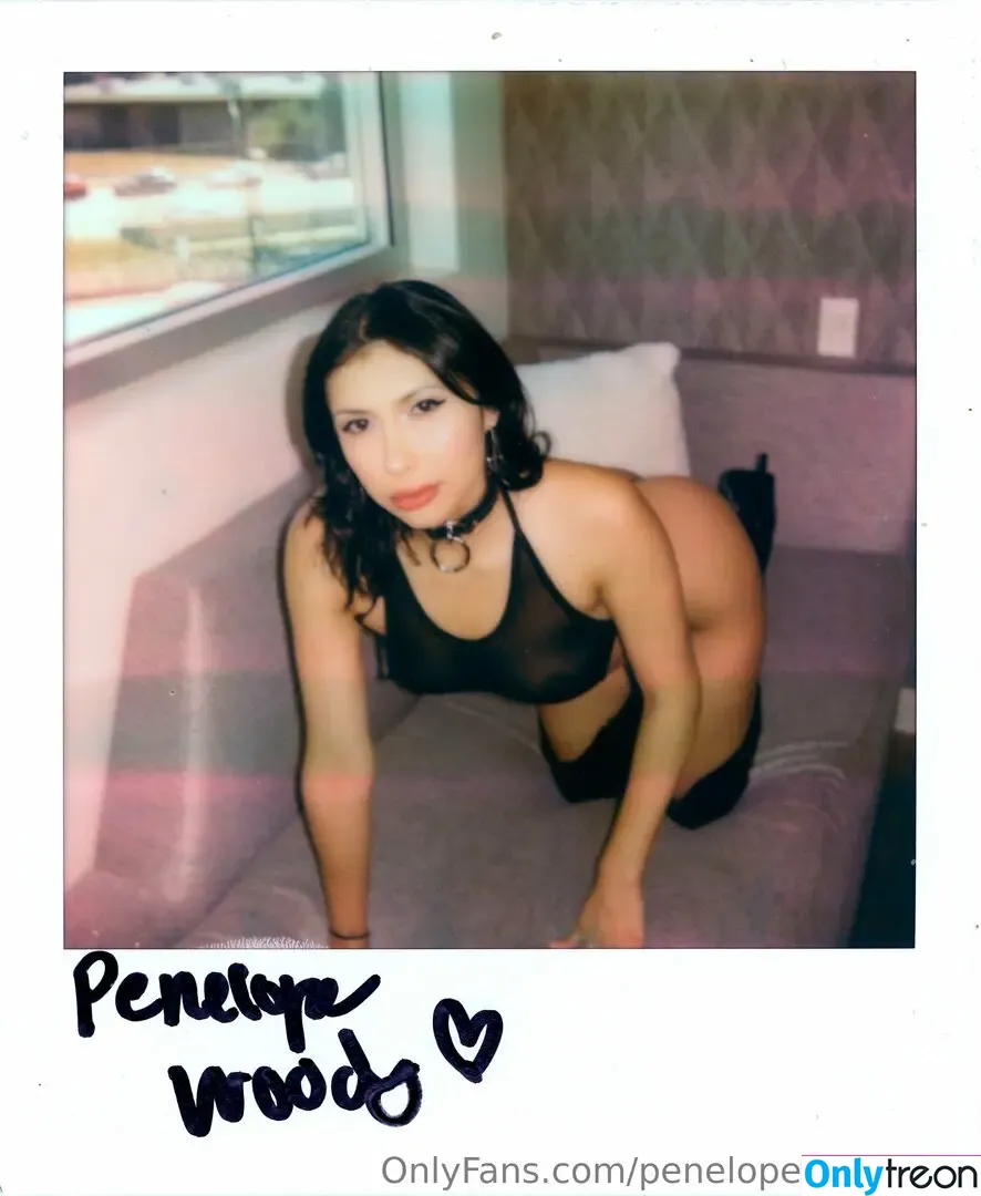 penelopewoodsxxx nude photo #0114 (penelopewoods3x)