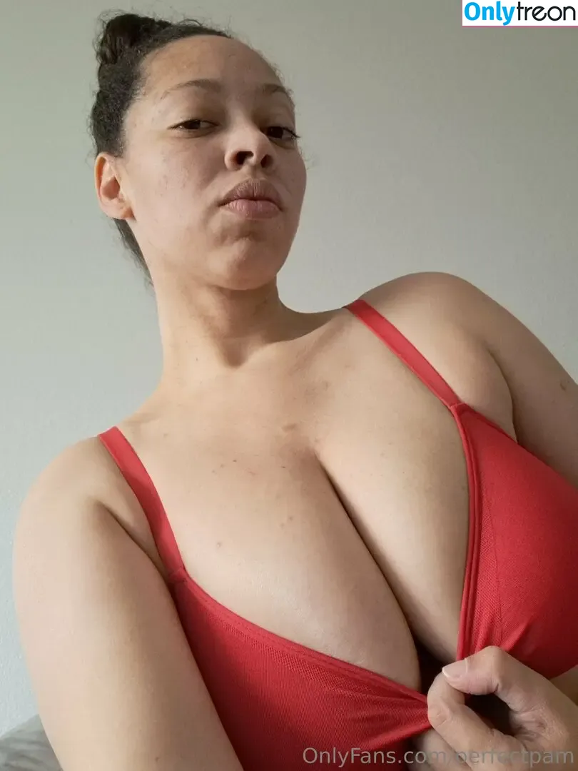 perfectpam nude photo #0047 (perfectpam)