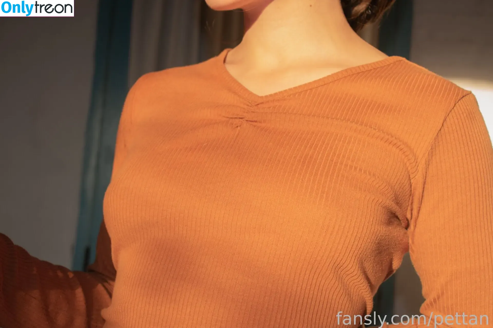 pettan nude photo #0006 (pettansgames)