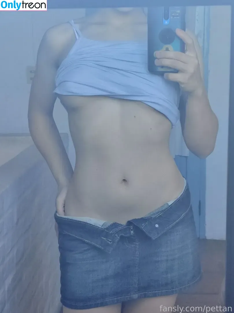 pettan nude photo #0032 (pettansgames)